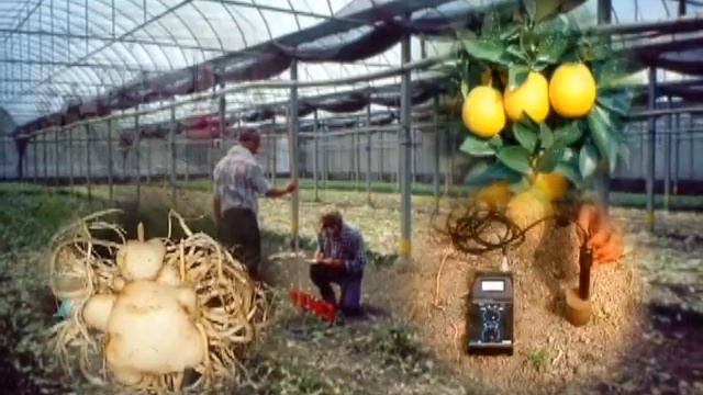 Brief Introduction of Agricultural Research Institute смотреть онлайн