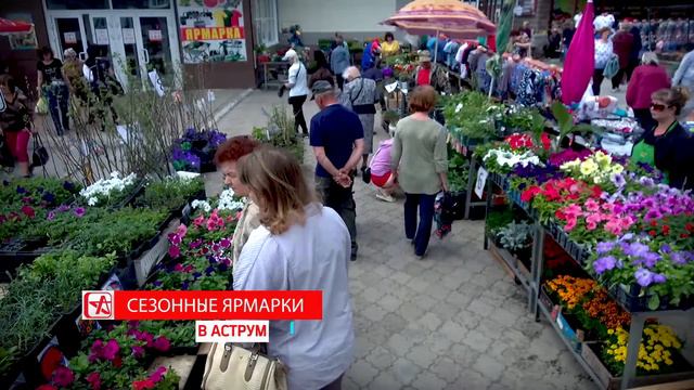 Рынок Аструм в Белорецке-летом за покупками! смотреть онлайн