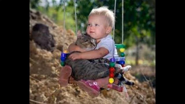 смешной стишок про кота смотреть онлайн