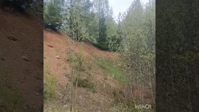 Полигон для горной подготовки! смотреть онлайн