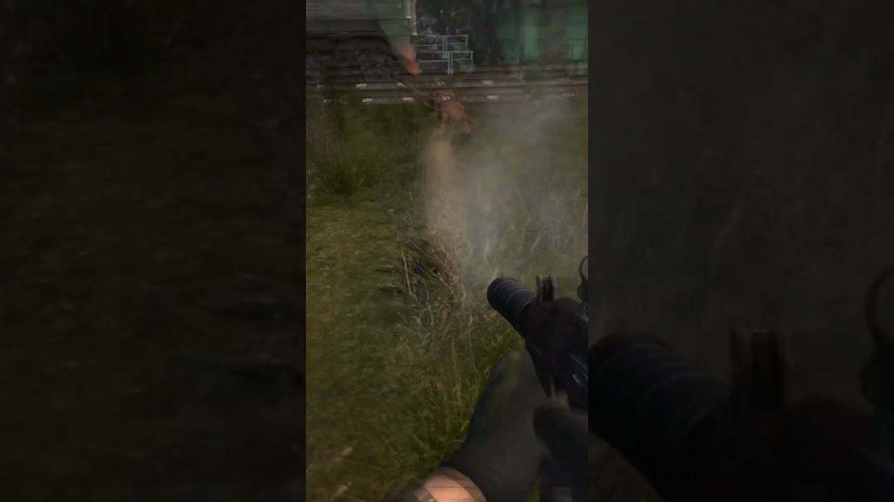 ТАРАКАНИЩЕ - Сталкер ОП 2.2 Mod Pack LSC short #shorts смотреть онлайн