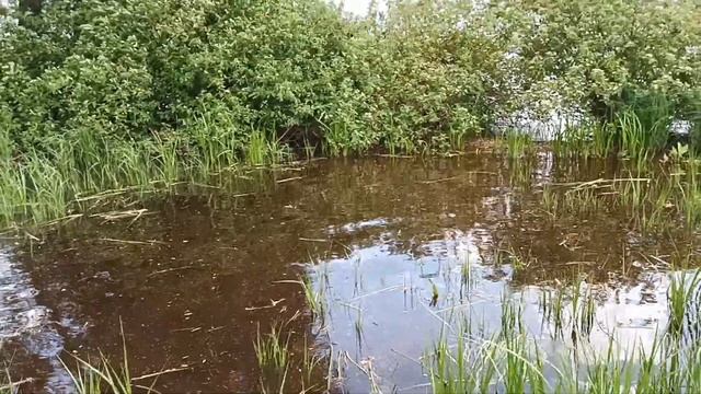 2022 год прогулка на каяке