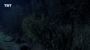 Payitaht Sultan Abdulhamid | Season 1 | Episode 16