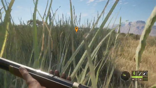 The Hunter, охота в Африке! смотреть онлайн