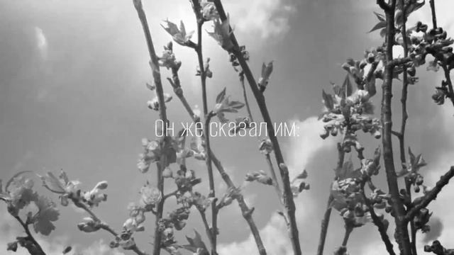 Евангельские притчи о сеятеле, плевелах, закваске, семени и зерне