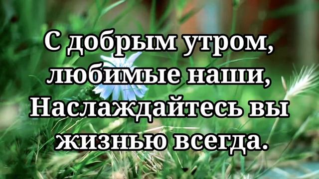 С Добрым Утром пожелания! музыкальная открытка с добрым утром. Настроение на весь день! смотреть онлайн