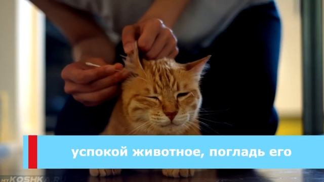 Тайное взаимодействие сущностей