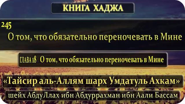 245 О том, что обязательно переночевать в Мине. смотреть онлайн