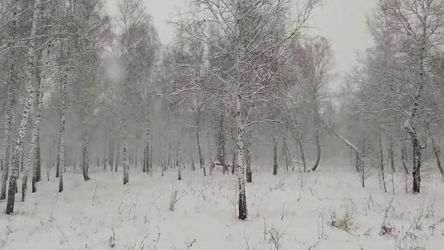 Красивая зима, мышь на снегу. смотреть онлайн