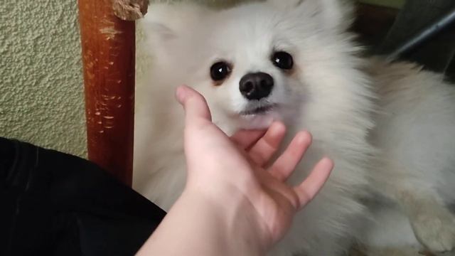 я лижу, отдыхаю смотреть онлайн