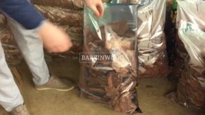 Обзор Кора сосны для Мульчирования. Производство мульчи Баркинвуд в Москве