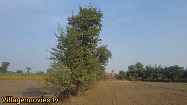 Watering the agriculture land | village movies tv | Agriculture technology | 25 hp peter engine | смотреть онлайн