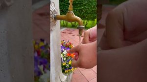 Красноярск/Сады Мечты /куда сходить в Красноярске /парк/сад