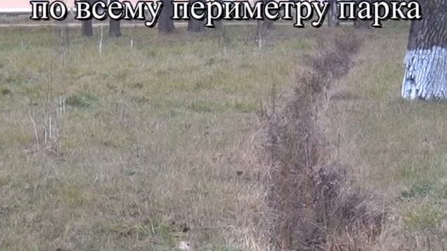 этапы работы над проектом Школьный парк смотреть онлайн