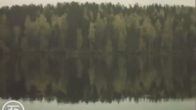 Лицедеи (1984)