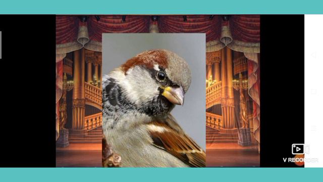 Нагорная Л.П. Тема: Сценическое действие смотреть онлайн