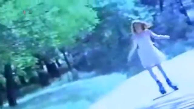 В. Залкин - Одинокая Ветка Сирени смотреть онлайн