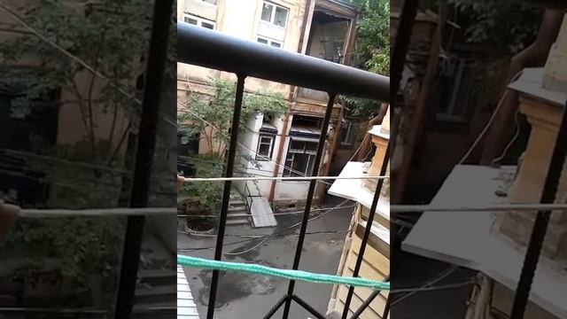 Тарпан и его воспитанники смотреть онлайн