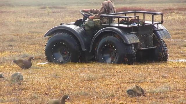 Литл вывозит смотреть онлайн