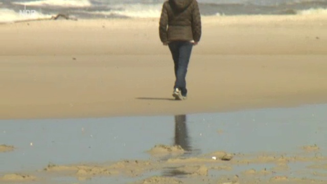 Henne Strand: Giftige Gefahr Im Sand