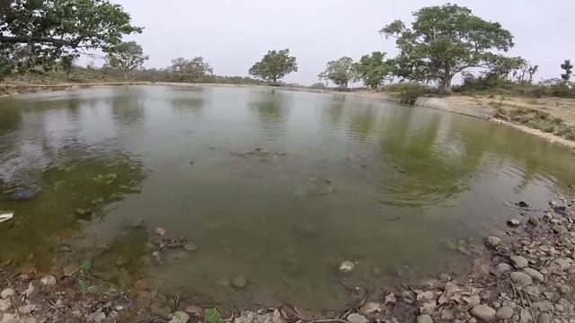 VLOG | Индия | Химачал Прадеш смотреть онлайн