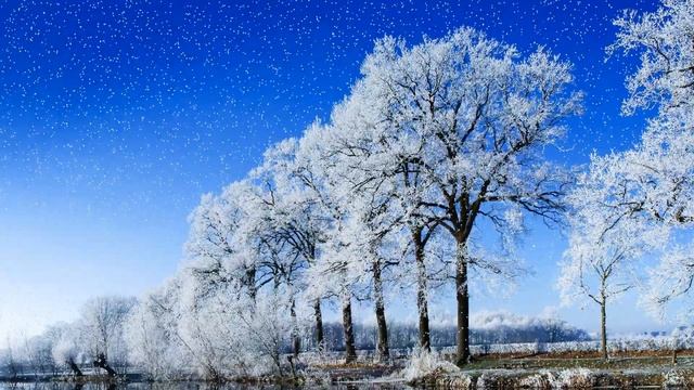 White noise. Insomnia therapy. Amazing snowfall. Sounds of nature. Relaxation. Screen saver. смотреть онлайн