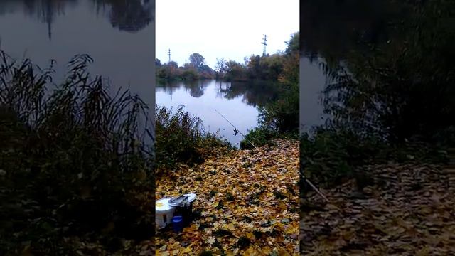 Рыбалка на хищника осень. 10.2021.р.майн смотреть онлайн