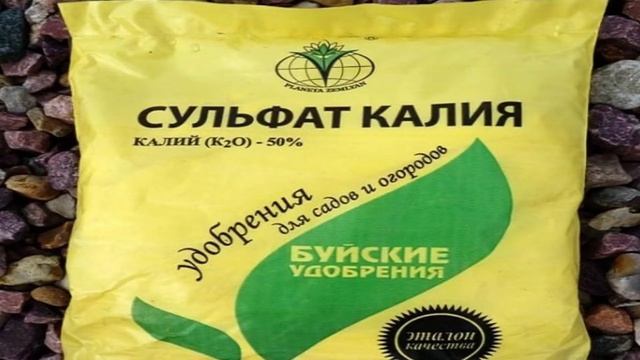 СДЕЛАЙТЕ это с МАЛИНОЙ после ПЛОДОНОШЕНИЯ! смотреть онлайн