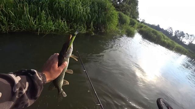 УТРЕННИЕ ПОКЛЁВКИ В КРАСИВЕЙШИХ МЕСТАХ! Рыбалка на спиннинг 2023. смотреть онлайн