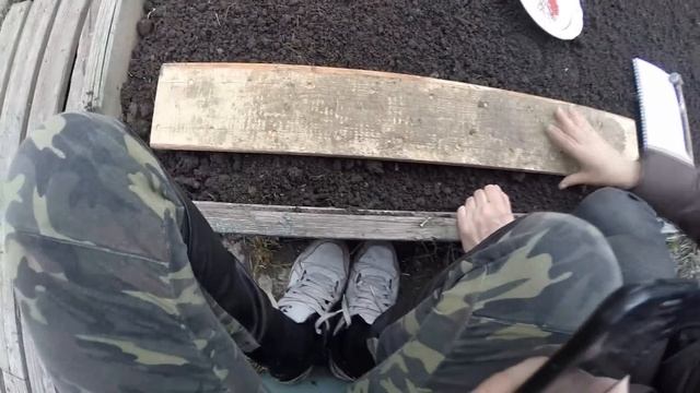 Посадка морковки в гранулах смотреть онлайн