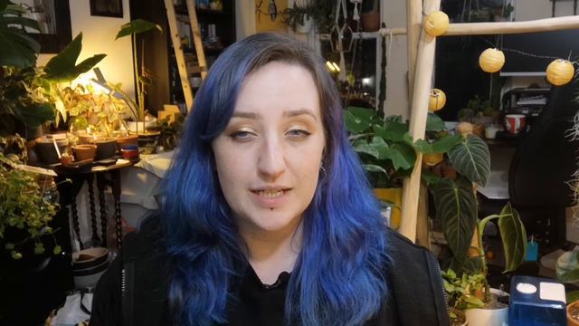 My Orchid Collection & Some Phalaenopsis Care Tips смотреть онлайн