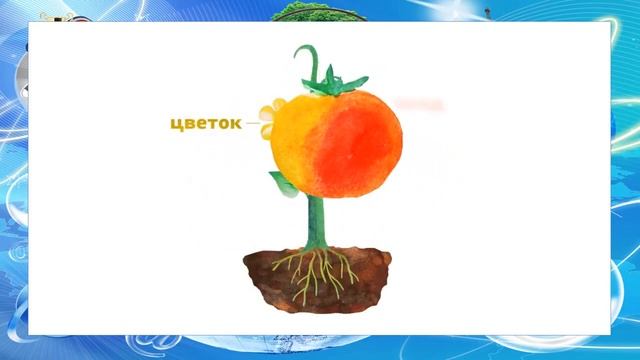 Естествознание тема "части растения" смотреть онлайн