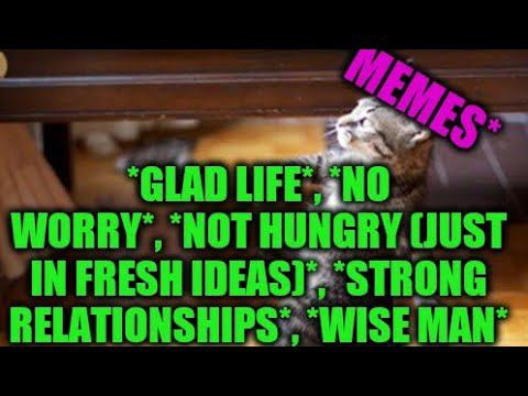 VLOG #33 All have their turn.