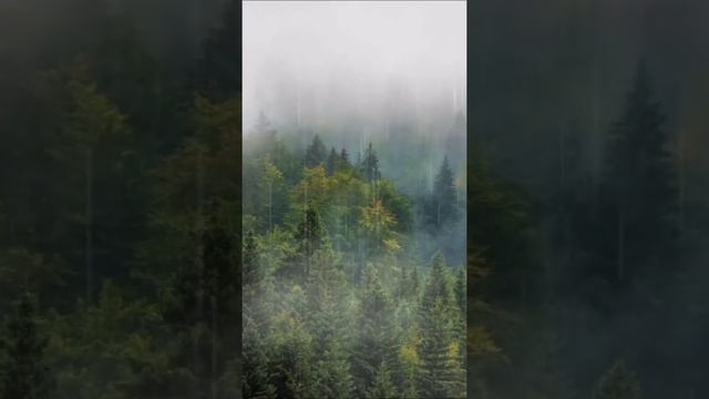 Расслабляющий шум дождя и грома для отдыха и сна, АСМР.?⛈️ смотреть онлайн