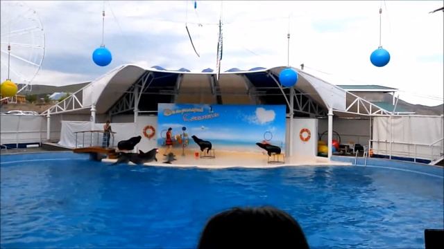 Дельфинарий. Коктебель. Крым 2016 смотреть онлайн