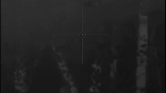 The New Rifle Ruger Mini 30 The Most Accurate