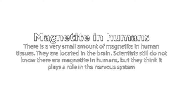 Minerals & Me - Magnetite смотреть онлайн