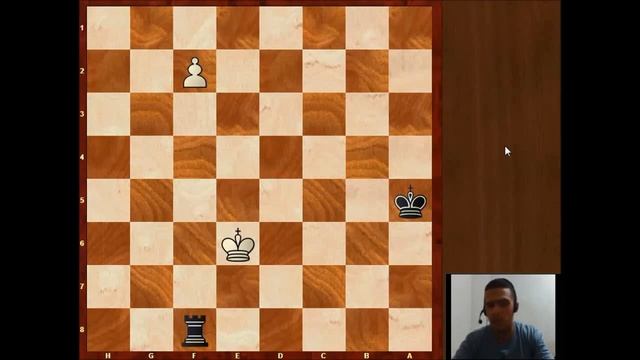 How to give CHECKMATE with Two Knights ? Chess Endgames смотреть онлайн