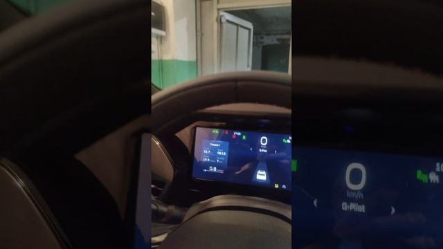 Русификация Geely Monjaro смотреть онлайн