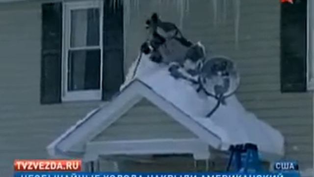 Холода накрыли американский штат Флорида смотреть онлайн