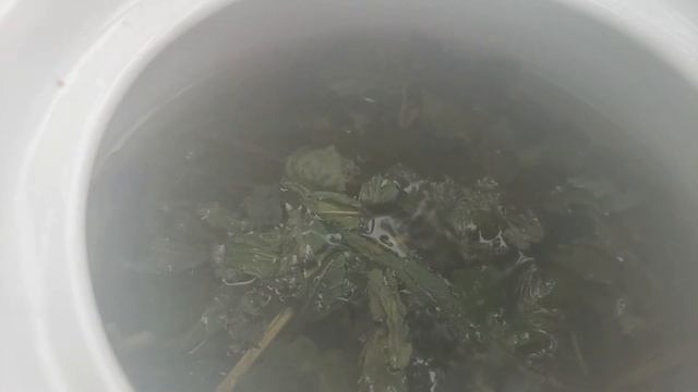 Americans in Tbilisi Georgia! ?? - 3 Must Visit Locations!!! смотреть онлайн