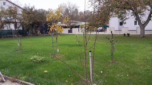 Купили соседний, земельный участок. смотреть онлайн