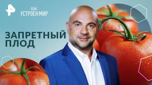 Запретный плод — Как устроен мир с Тимофеем Баженовым (27.06.2024)