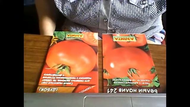 Видео смотреть онлайн