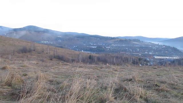 Как ушатать лабрадора за 10 минут. смотреть онлайн
