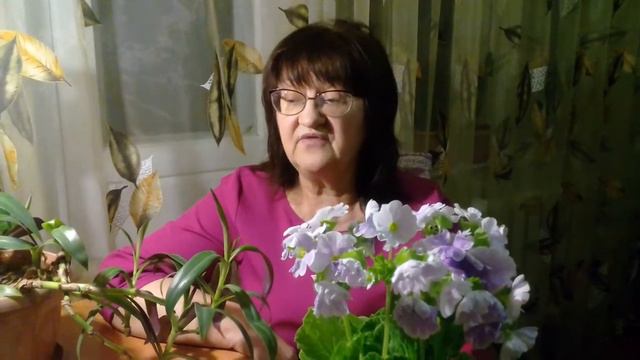 моя мини презентация смотреть онлайн