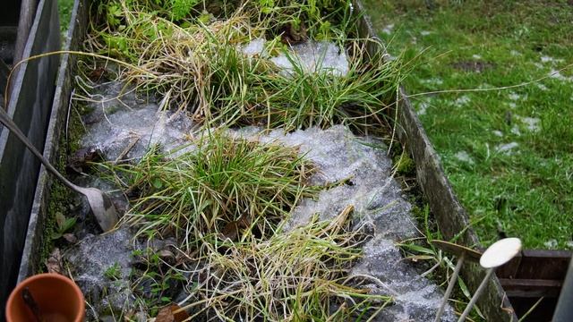 HC X1 Montag 11Dez2017 4K смотреть онлайн