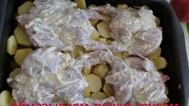 Туризм и Приключения