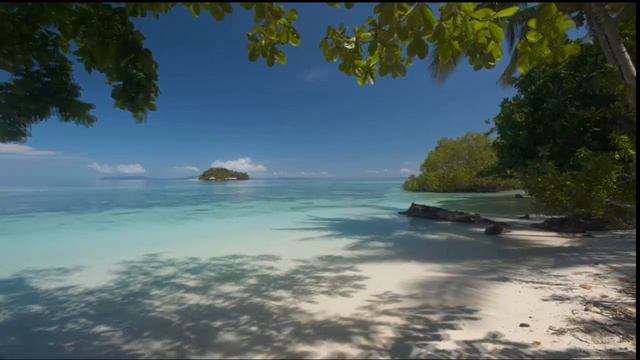 Медитация на пляже у моря 1,5 часа релакса на пляже у ОКЕАНА #Целитель Евандия #Адамант смотреть онлайн