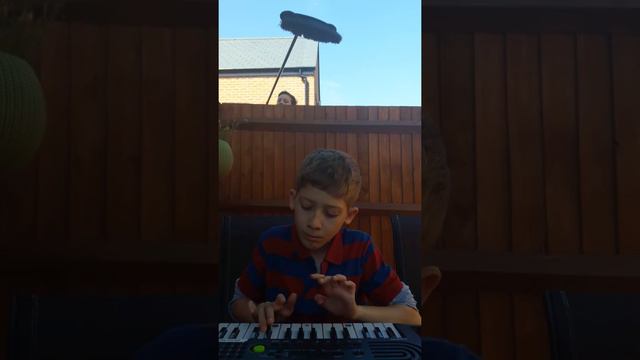 Despacito on keyboard funny!